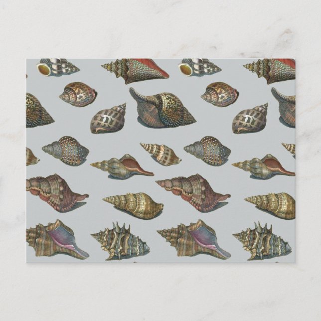 Postal Vintage Seasheles (Anverso)