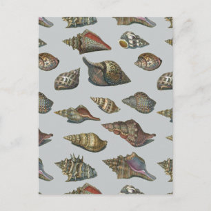 Postal Vintage Seasheles