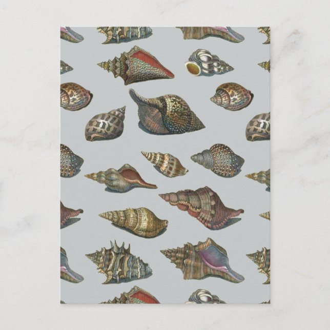 Postal Vintage Seasheles (Anverso)