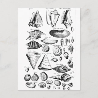 Postal Vintage Seasheles