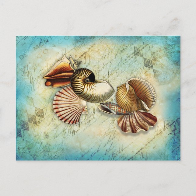 Postal Vintage Seashell Ocean Blue (Anverso)