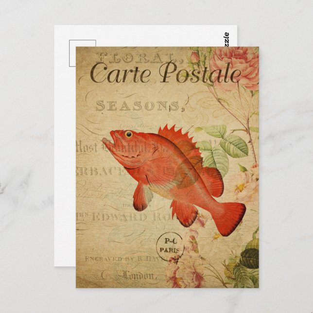 Postal Vintage Sepia Naranja Goldfish (Anverso / Reverso)