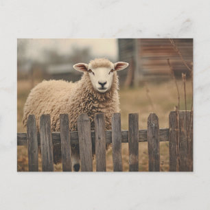 Postal Vintage Sheep Sepia