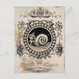Postal Vintage Snail Fairy Collage