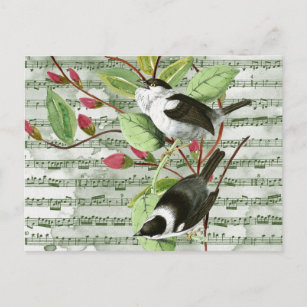Postal Vintage Songbirds (pájaros del sol) en la música d