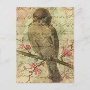 Postal Vintage Sparrow