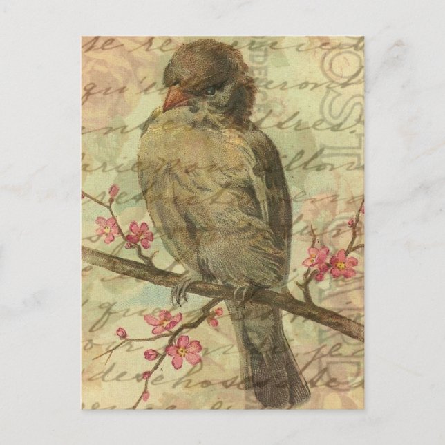 Postal Vintage Sparrow (Anverso)