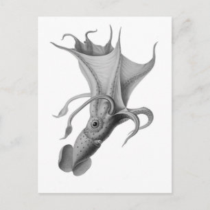 Postal Vintage Squid