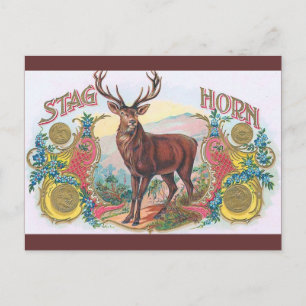 Postal Vintage Stag