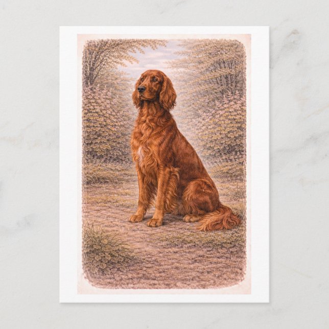 Postal Vintage-Style Irish Setter (Anverso)