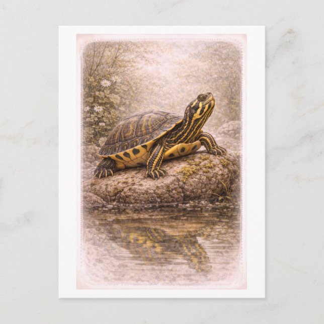 Postal Vintage-Style Yellow-Bellied Slider Turtle  (Anverso)