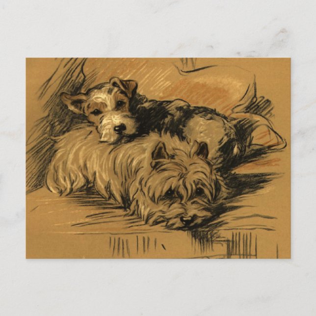 Postal Vintage Terrier y Westie (Anverso)
