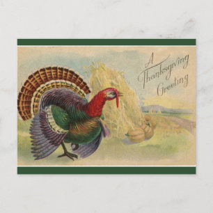 Postal Vintage Thankding Turkeys and Haystacks