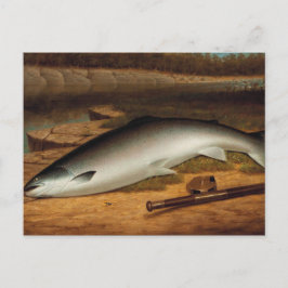 Postal Vintage The Big Catch A Salmon on a River Bank
