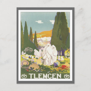 Postal Vintage Tlemcen Algeria