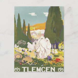Postal Vintage Tlemcen Algeria