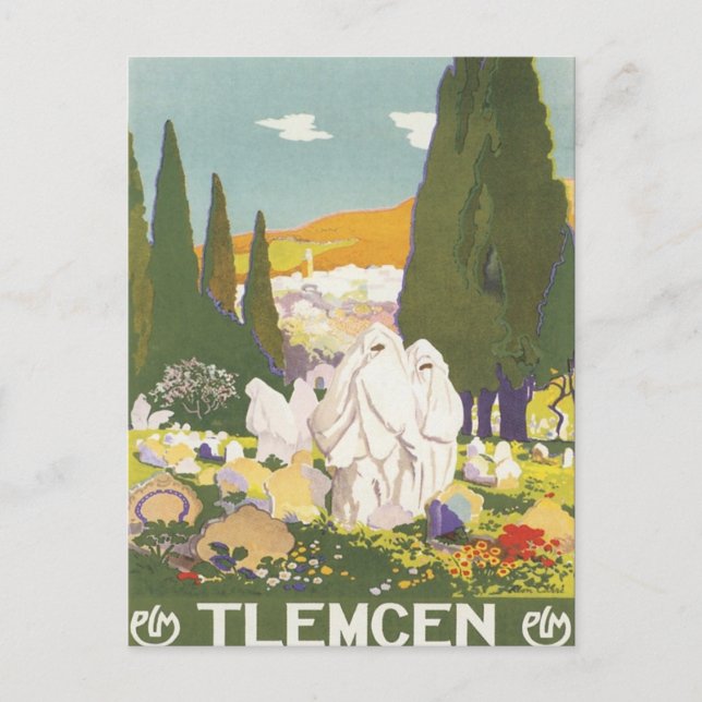 Postal Vintage Tlemcen Algeria (Anverso)