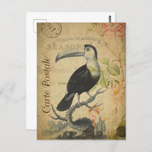Postal Vintage Toucan Bird
