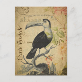 Postal Vintage Toucan Bird Roses Rosa Floral Francés