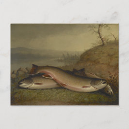 Postal Vintage Walter Brackett Trout