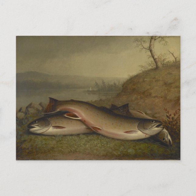 Postal Vintage Walter Brackett Trout (Anverso)