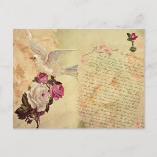 Postal Vintage White Dove Shabby Chic Postcard