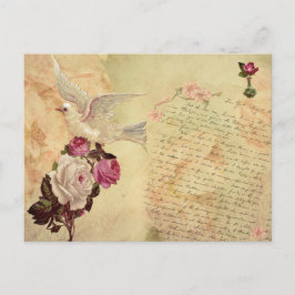 Postal Vintage White Dove Shabby Chic Postcard