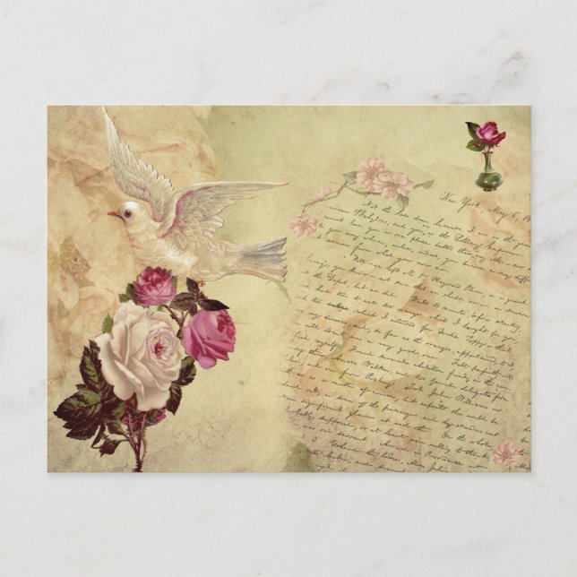 Postal Vintage White Dove Shabby Chic Postcard (Anverso)
