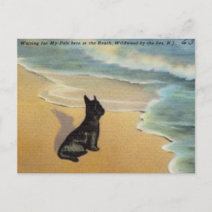 Postal Vintage Wildwood-by-the-Sea, Nueva Jersey