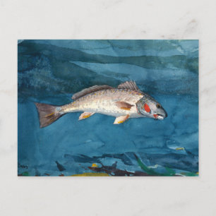 Postal Vintage Winslow Homer Channel Bass