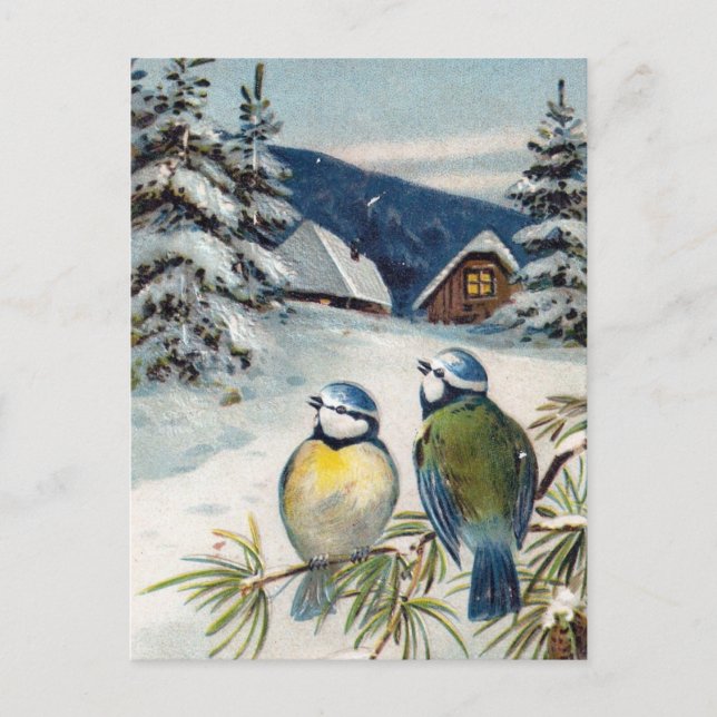 Postal Vintage Winter Postcard With Birds (Anverso)
