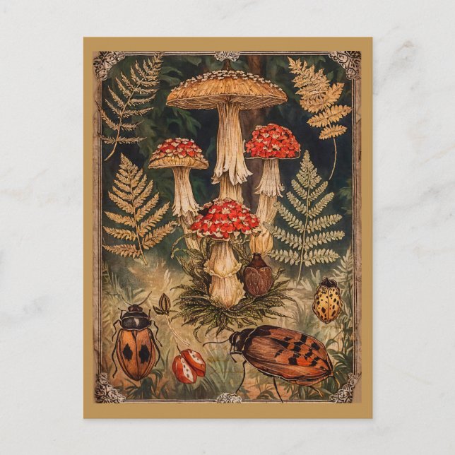 Postal Vintage Woodland Mushrooms Autuming Greeting (Anverso)