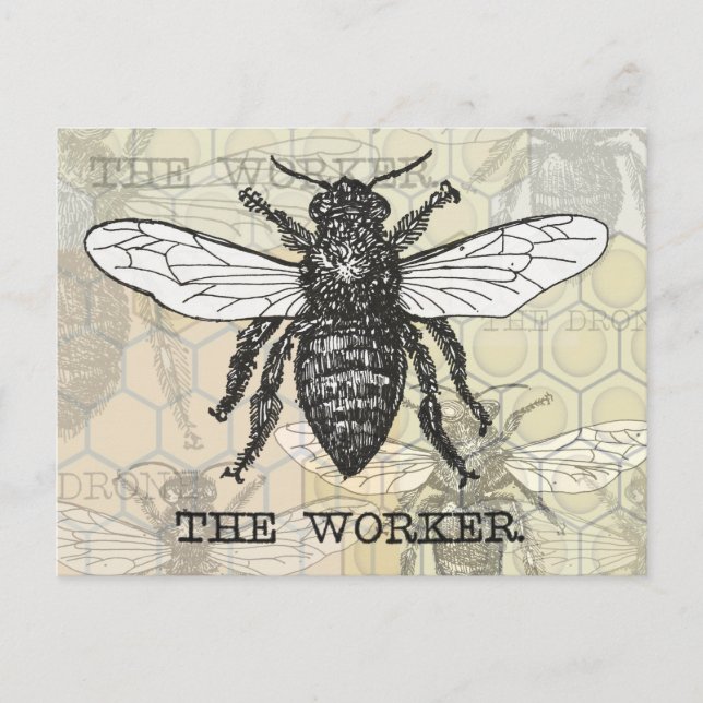 Postal Vintage Worker Bee Ilustracion Art (Anverso)
