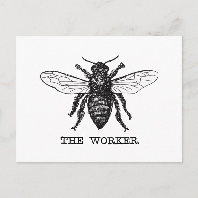Postal Vintage Worker Bee Ilustracion Art (Anverso)