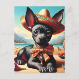 Postal Vintage Xoloitzcuintle