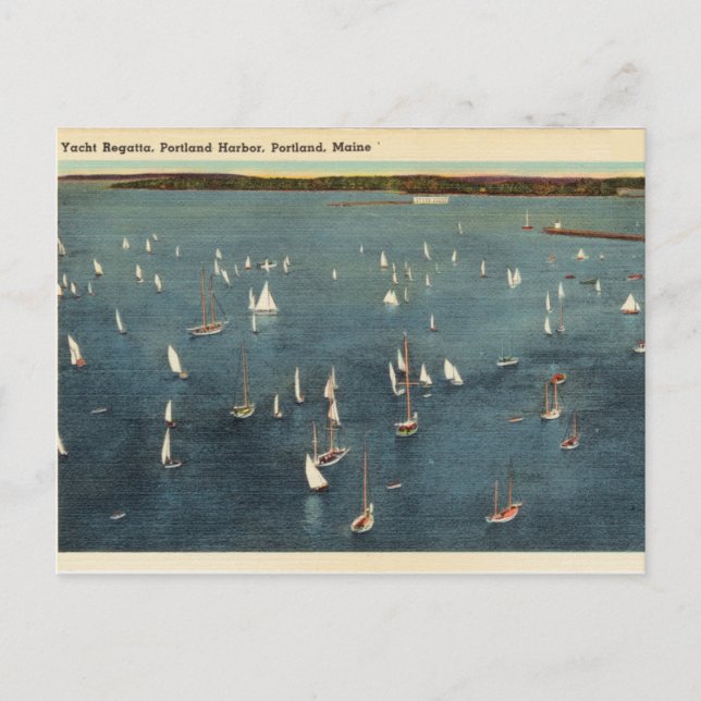 Postal Vintage, Yacht Regatta, Harbour, Portland Maine (Anverso)