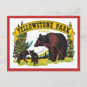 Postal Vintage Yellowstone Park Wyoming USA