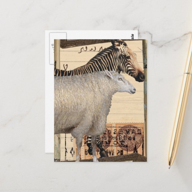 Postal Vintage Zebra and Sheep Mixed Media Collage (Anverso/Reverso In Situ)