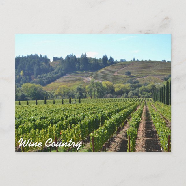 Postal Vintages de Wine Country (Anverso)