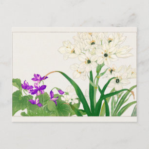 Postal Viola, flor estrella árabe de Tanigami Konan