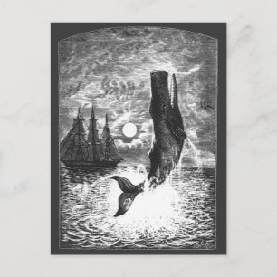 Postal Violación de esperma de vintage de ballenas, anima