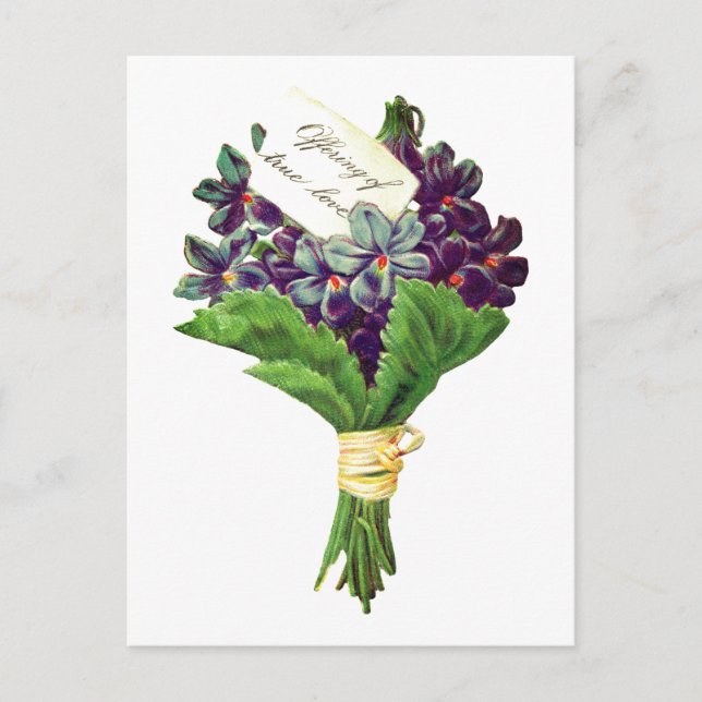 Postal Violaciones de amor de verdad vintage (Anverso)