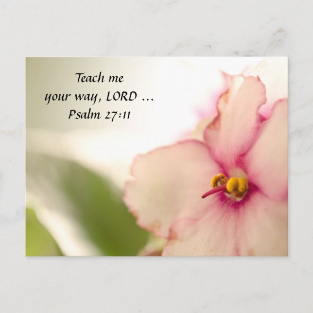 Postal Violaciones difusas (Anverso)