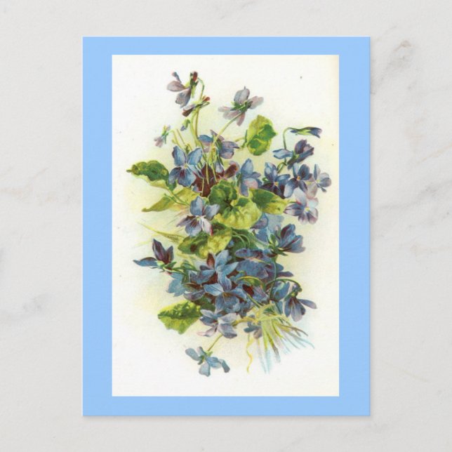 Postal violadores (Anverso)