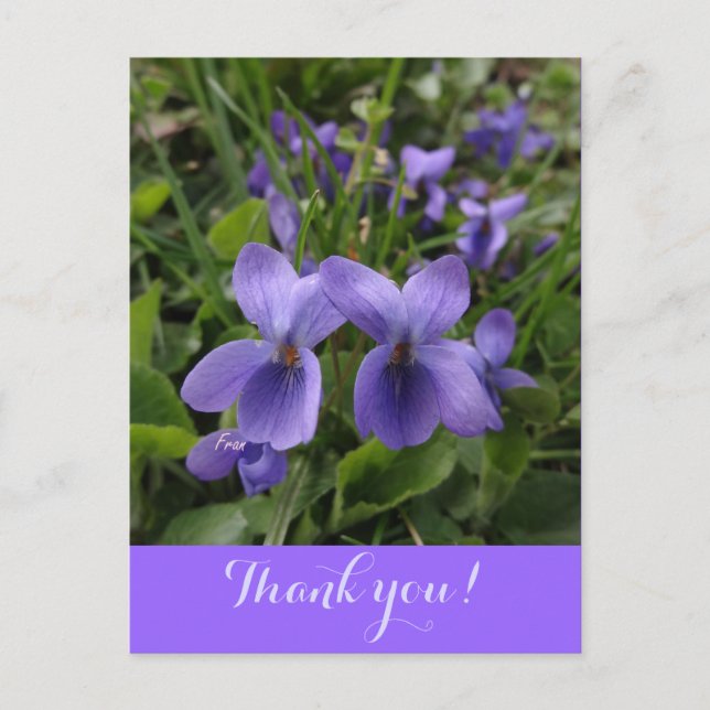 Postal violadores (Anverso)