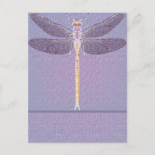 Postal Violet Dragonfly