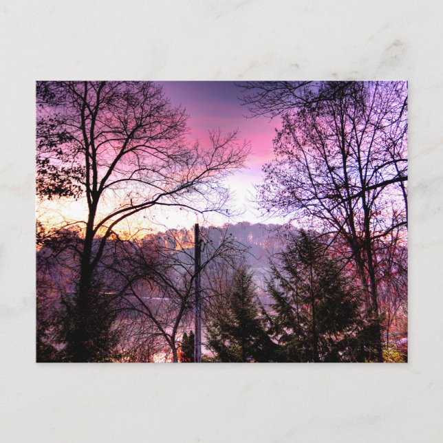 Postal Violet Morning, Baltic, Ohio (Anverso)