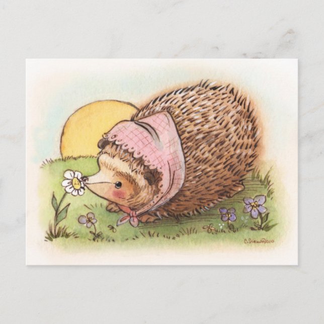 Postal Violet the Hedgehog (Anverso)