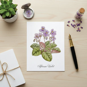 Postal Violeta Africana Curtis Botánica