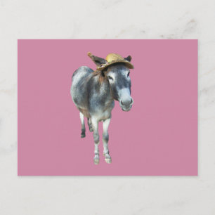Postal Violeta el burro en Gorra de paja con flores